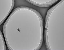 上海易微信息科技 超薄碳膜技術(shù)的創(chuàng)新與應(yīng)用